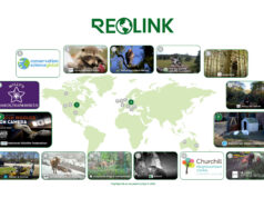 Reolink punta sulla sicurezza sostenibile: telecamere per un pianeta più verde nella Giornata della Terra Telecamera di sicurezza solare Reolink installata all’esterno per monitoraggio autonomo senza rete elettrica
