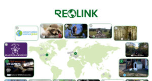 Reolink punta sulla sicurezza sostenibile: telecamere per un pianeta più verde nella Giornata della Terra Telecamera di sicurezza solare Reolink installata all’esterno per monitoraggio autonomo senza rete elettrica