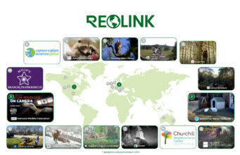 Reolink punta sulla sicurezza sostenibile: telecamere per un pianeta più verde nella Giornata della Terra Telecamera di sicurezza solare Reolink installata all’esterno per monitoraggio autonomo senza rete elettrica