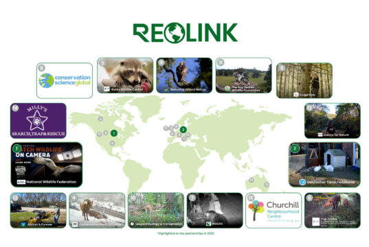 Reolink punta sulla sicurezza sostenibile: telecamere per un pianeta più verde nella Giornata della Terra Telecamera di sicurezza solare Reolink installata all’esterno per monitoraggio autonomo senza rete elettrica