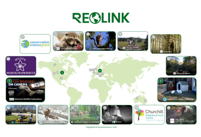 Telecamere solari Reolink per la sicurezza domestica e ambientale Telecamera di sicurezza solare Reolink installata all’esterno per monitoraggio autonomo senza rete elettrica